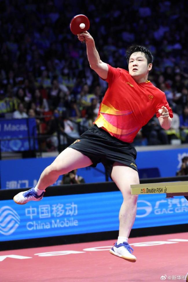 波兰队轻取瑞典队，樊振东惊艳四座