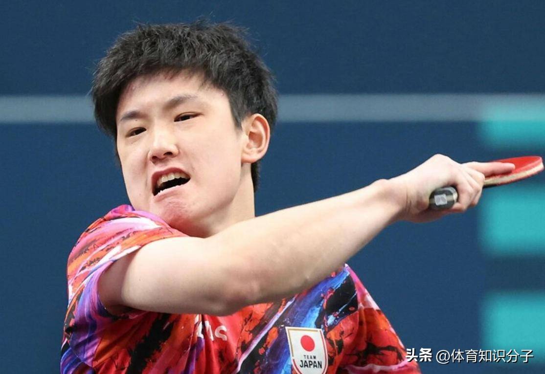 中国队险胜波兰队，张本智和状态火热