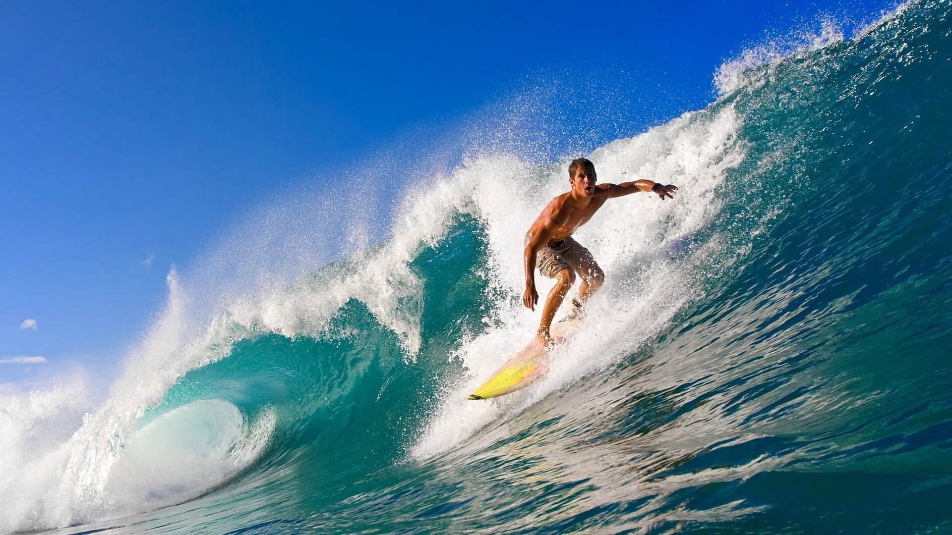 猛龙对阵黄蜂，约基奇个人能力完全展现