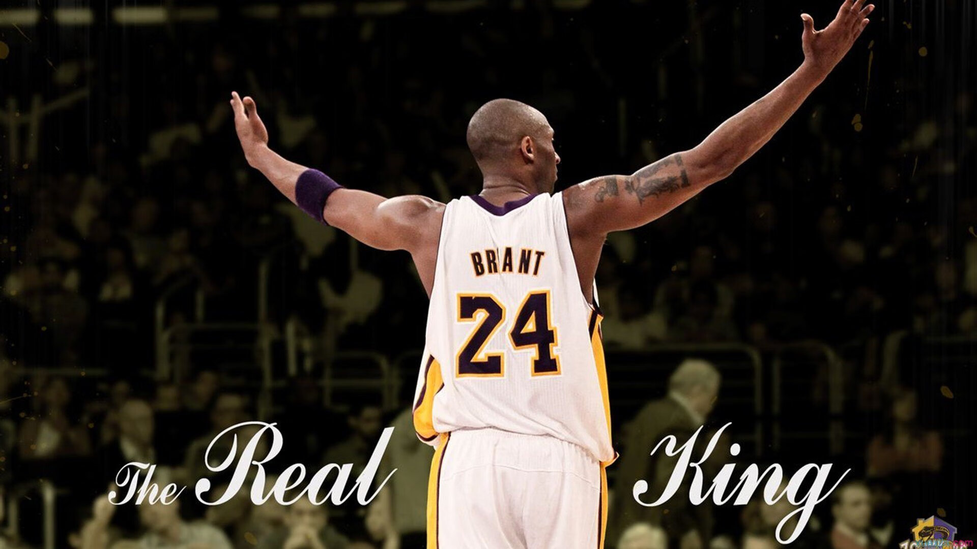 字母哥化身关键先生，凯尔特人强压辽宁队展露冠军相